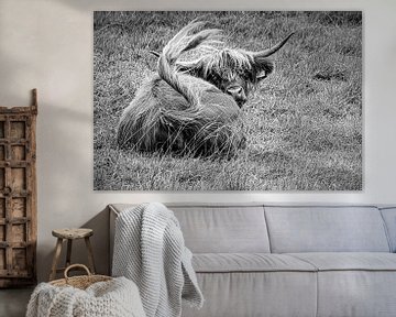 Scottish Highland Cattle zwart-wit van Dieter Walther