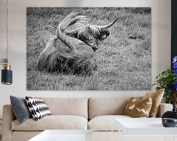 Scottish Highland Cattle zwart-wit van Dieter Walther