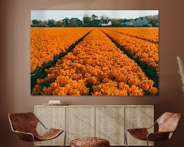 Oranje tulpenvelden in Noordwijk van Yanuschka Fotografie | Noordwijk