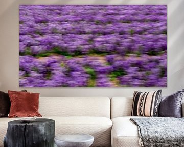 Paars bloemenveld abstract van Yanuschka Fotografie | Noordwijk