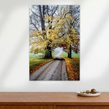 Verloren, auf angenehme Art und Weise von Lars van de Goor