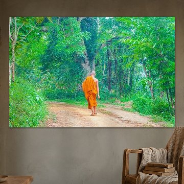 A travelling monk in thailand