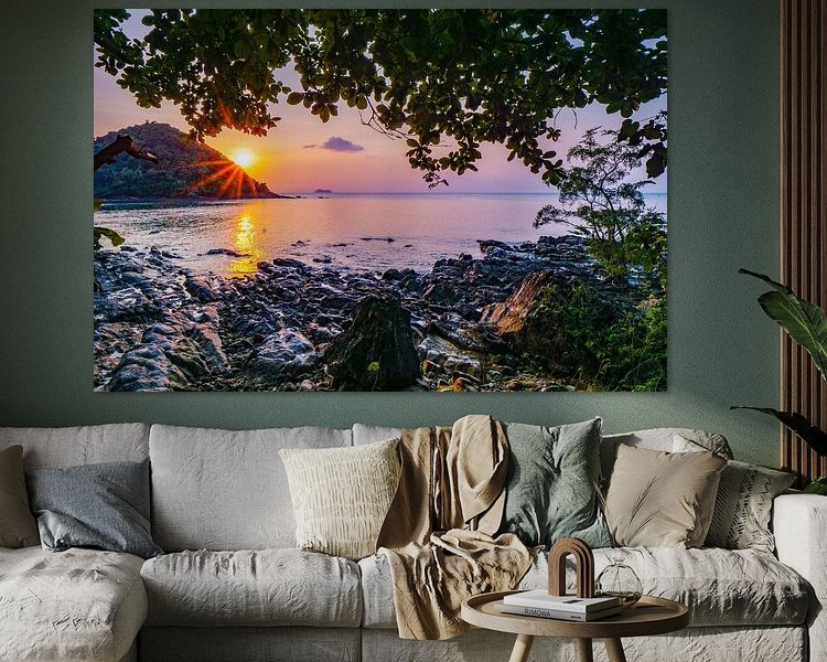 Aperçu de la chambre