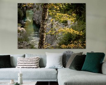 Wooded ravine along the Soča River with a bridge, a waterfall and paths towards the water. by Eric van Nieuwland