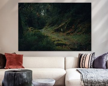 Herfstig bos pad in de bergen van Bart Hageman Photography