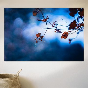 Scène d'automne avec baies rouges et atmosphère bleue mystérieuse | tirage photo d'art