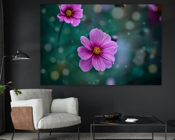 lila Kosmos Blume | Fine Art Photo von Eva Capello