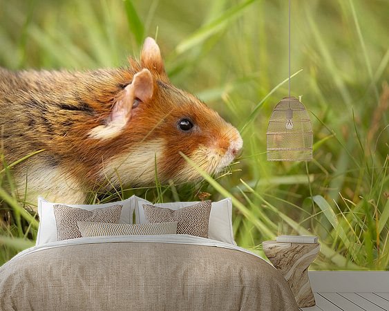 Voorbeeld van het werk in een kamer