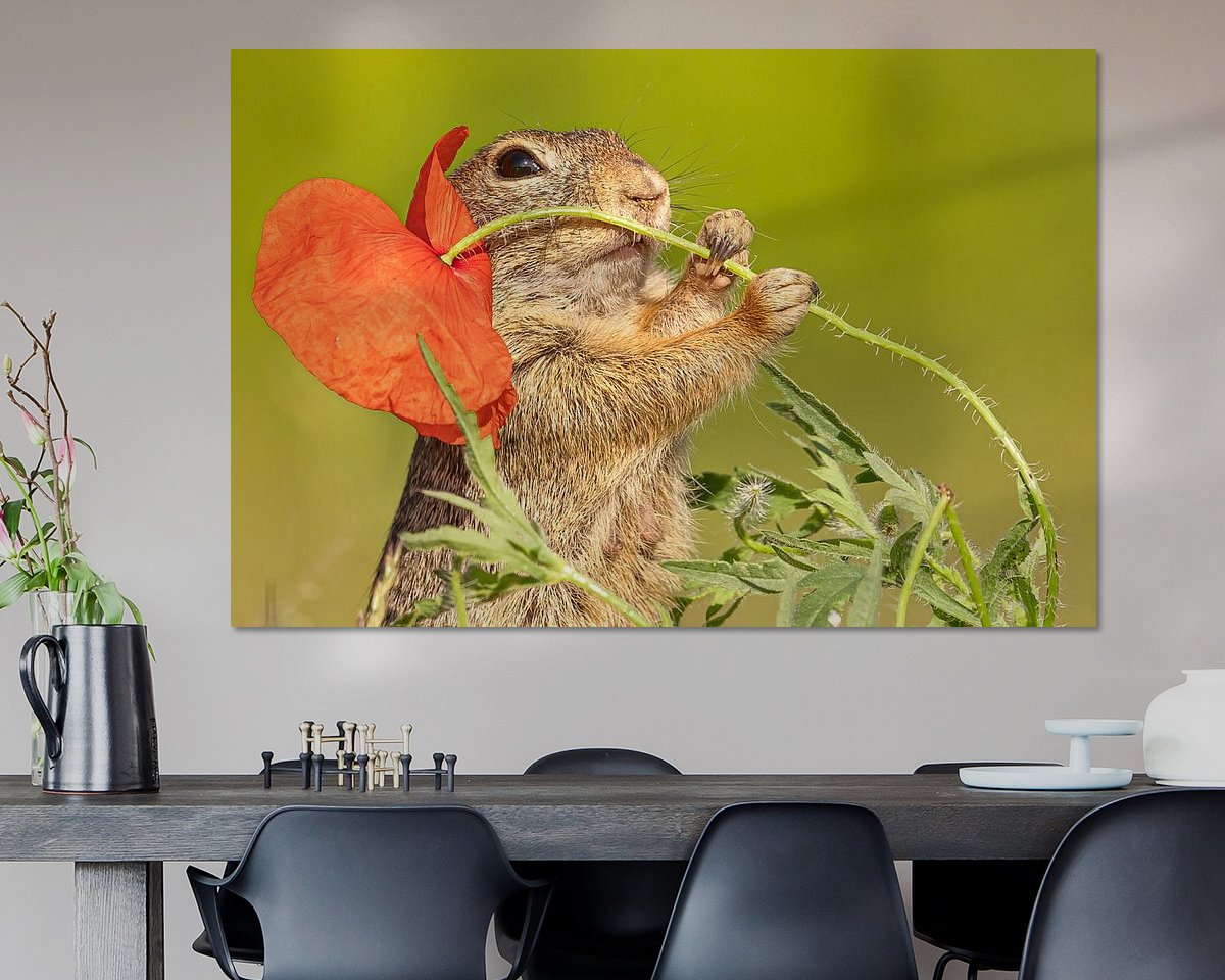 Voorbeeld van het werk in een kamer