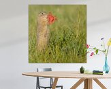 Voorbeeld van het werk in een kamer