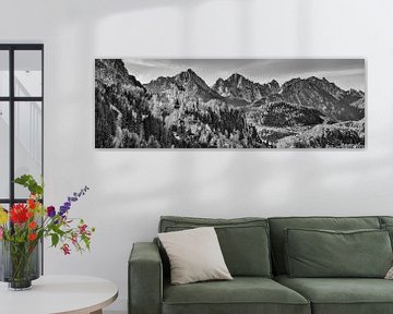 Kasteel Neuschwanstein met bergpanorama in zwart-wit. van Manfred Voss, Schwarz-weiss Fotografie