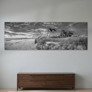 Weststrand am Darß an der Ostsee in schwarzweiss. von Manfred Voss, Schwarz-weiss Fotografie