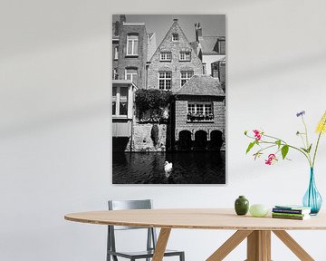 Huizen, kanaal en zwaan in Brugge, België van Patrik Hochnadel