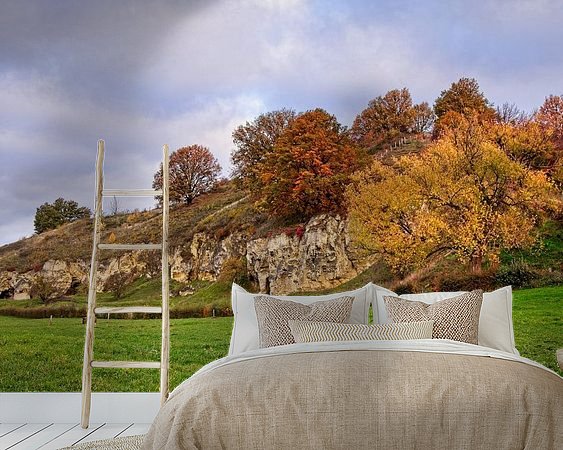 Aperçu de la chambre