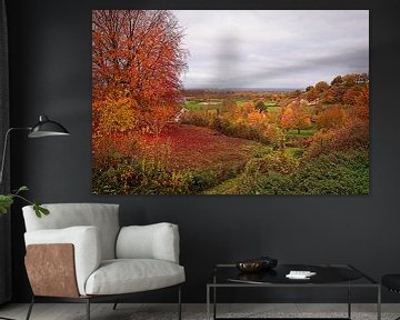 Herbst im Maastal von Rob Boon