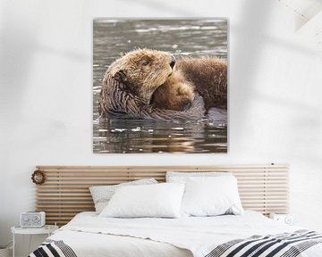 Mama otters zijn de beste moeders van de dierenwereld van Kris Hermans