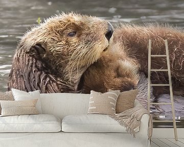 Mama otters zijn de beste moeders van de dierenwereld