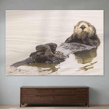 Ich bin ein Seeotter aus Kalifornien ;-) von Kris Hermans