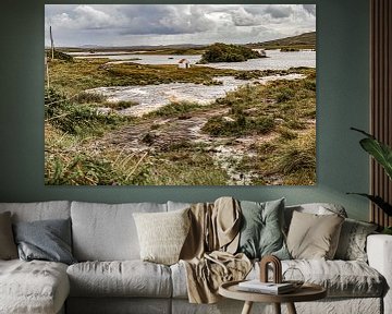 Connemara, Ierland van Huub de Bresser