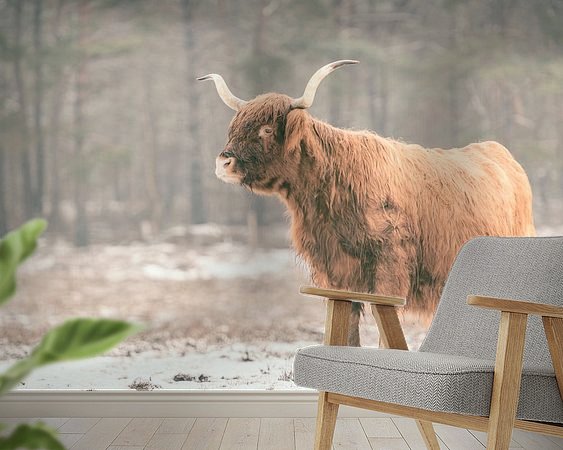 Raumvorschau