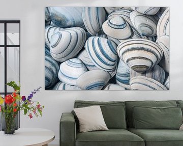 Striped shells in different shades of blue and brown by Marjolijn van den Berg