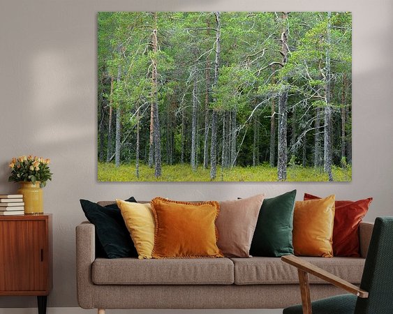 Aperçu de la chambre