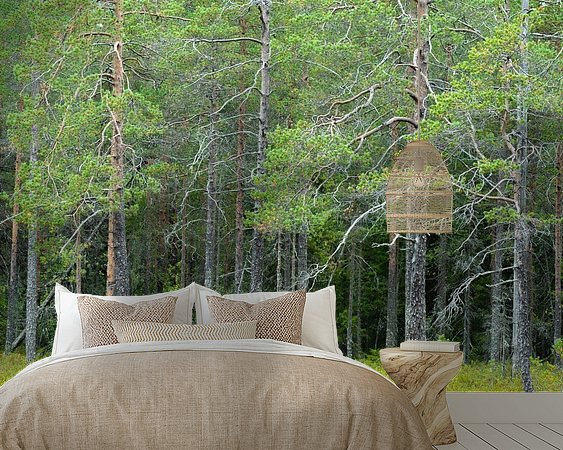 Aperçu de la chambre