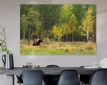 Brown bear in forest in Finland by Caroline Piek