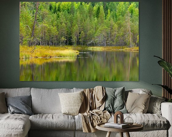 Aperçu de la chambre