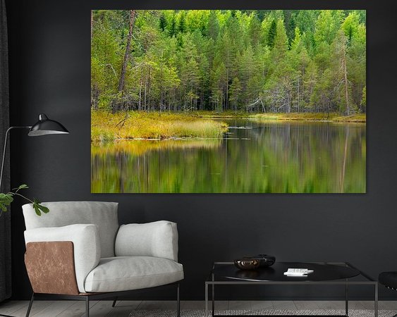 Aperçu de la chambre