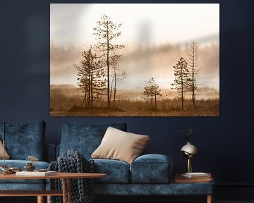 Paysage brumeux en Finlande sur Caroline Piek