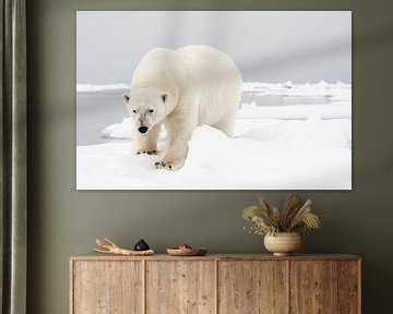 Ijsbeer staand in de sneeuw op Spitsbergen van Caroline Piek