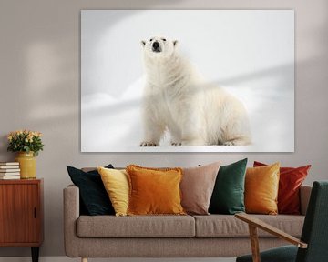 Polar bear in the snow on Svalbard by Caroline Piek