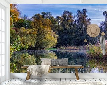 Biesbosch herfstkleuren gezien vanaf het water van Kees Dorsman