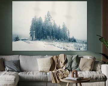 Winter wonderland van Peter Deschepper