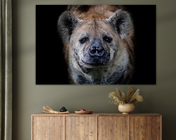 Foto van een nieuwsgierige hyena van Marja Suur