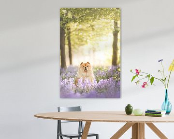 Dog among the hyacinths by Daniëlle Kock