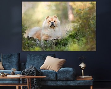 Chowchow hond in het bos van Daniëlle Kock