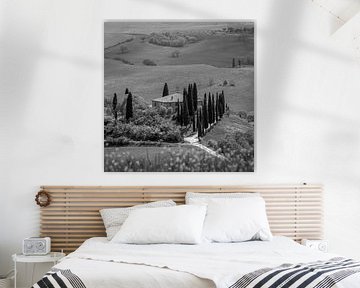 Italien im Quadrat schwarz-weiß, Toskana - Podere Belvedere