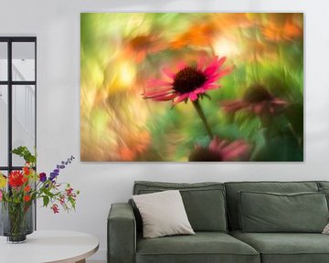 Cheerfulness with the Rudbeckia by elma maaskant
