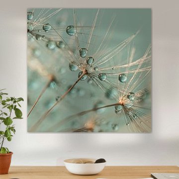 Abstract square: Droplets rest on a dandelion by Marjolijn van den Berg