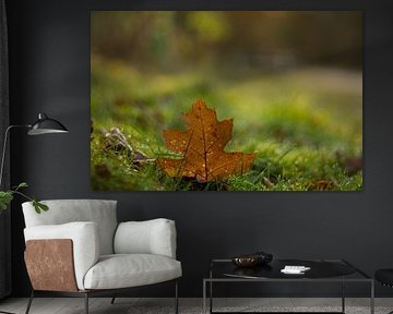 Automne