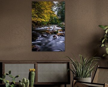 Idylle aan de rivier, herfst in Georgewitz Skala 1 van Holger Spieker