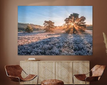 Zonsopkomst in de herfst op de berijpte heide van John van de Gazelle fotografie