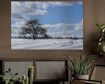 Een appelboom in een veld in de winter van Claude Laprise