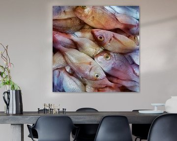 Panoramafoto mit Fischen. von Saskia Dingemans Awarded Photographer