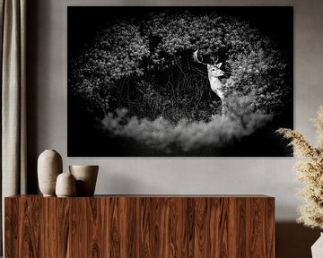 Prachtig hert in de duinen van Noordwijk, zwart-wit van Yanuschka | Fotografie Noordwijk