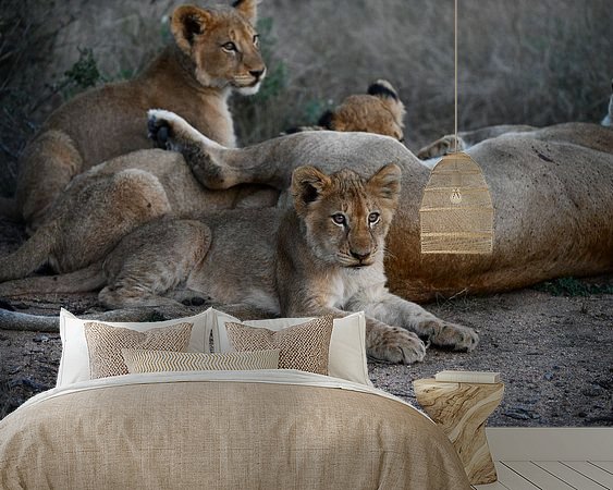 Aperçu de la chambre