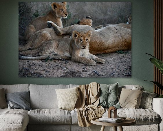 Aperçu de la chambre