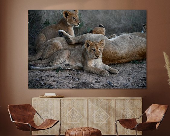 Aperçu de la chambre